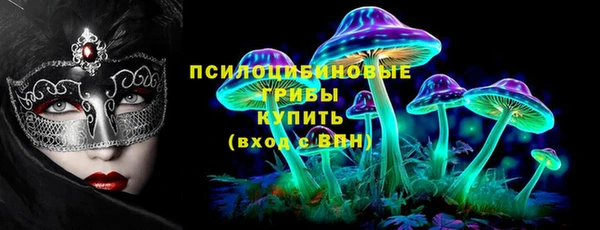 марки nbome Вяземский