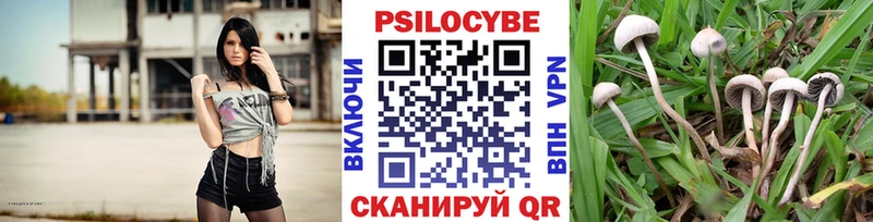 Псилоцибиновые грибы прущие грибы  Купить закладки  Нефтегорск 