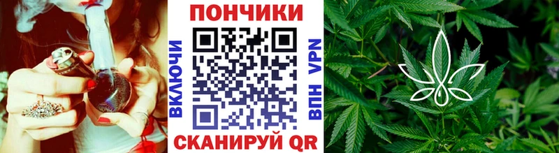 Купить  Нефтегорск  Канабис сатива 